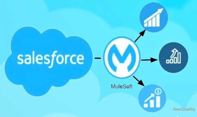 Salesforce and MuleSoft Integration 2