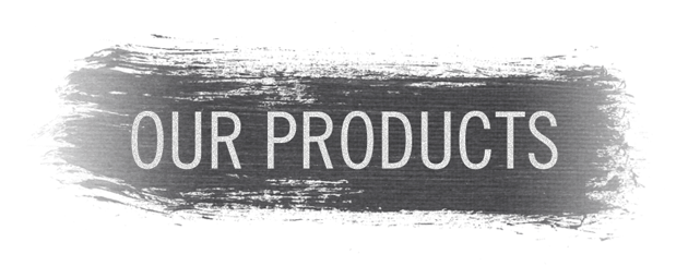 Top Salesforce ISV Partners, Salesforce Certified Developer