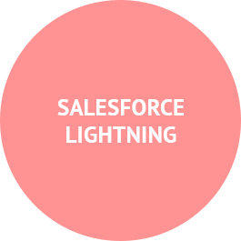 Salesforce Lightning Development Services