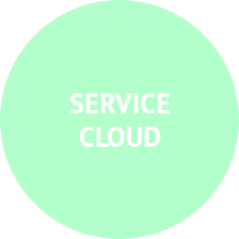 Salesforce Service Cloud Experts