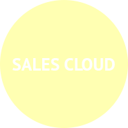 Sales Cloud Consultants