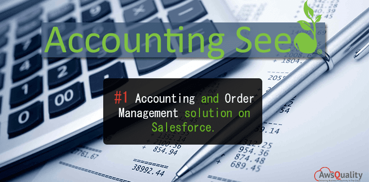 Accounting Seed (Tracks Financial Data Through The Entire Business)