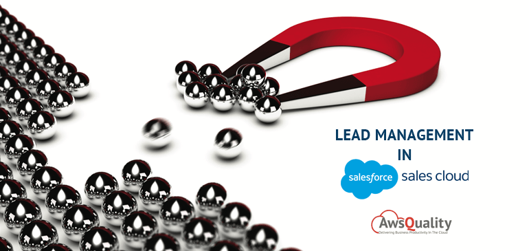 Lead Management in Salesforce Sales Cloud