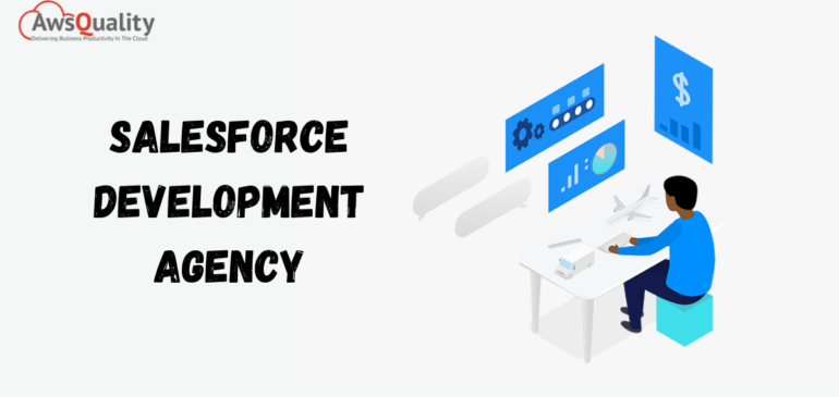 Developer Tools Used by Salesforce Development Agency