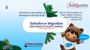 Salesforce Consulting Partner