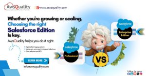 Salesforce Consulting Partner