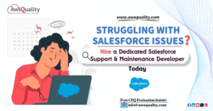 Salesforce Support & Maintenance Developer