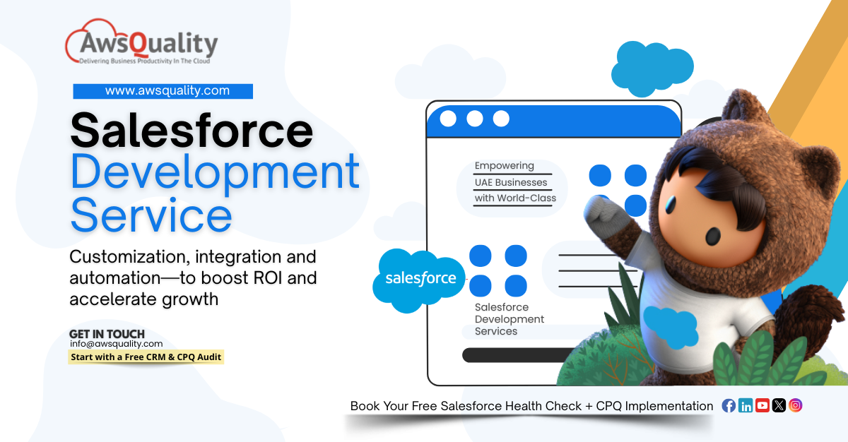 Salesforce Development Service