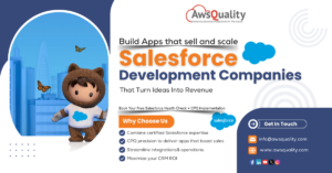 Salesforce Development Companies